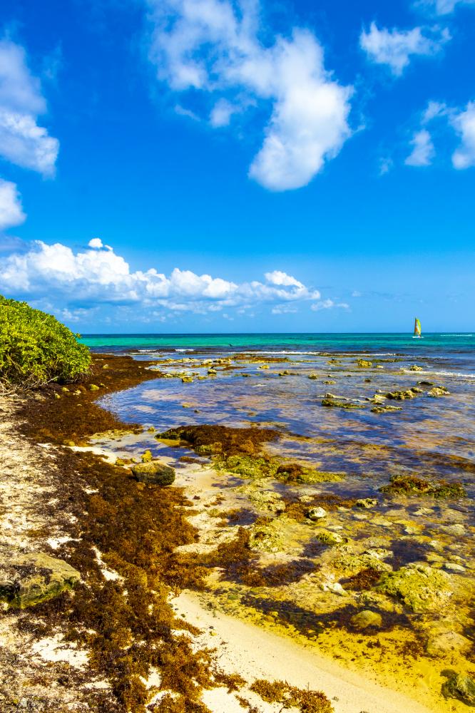 Eco-conscious Florida Keys living at a waterfront Airbnb