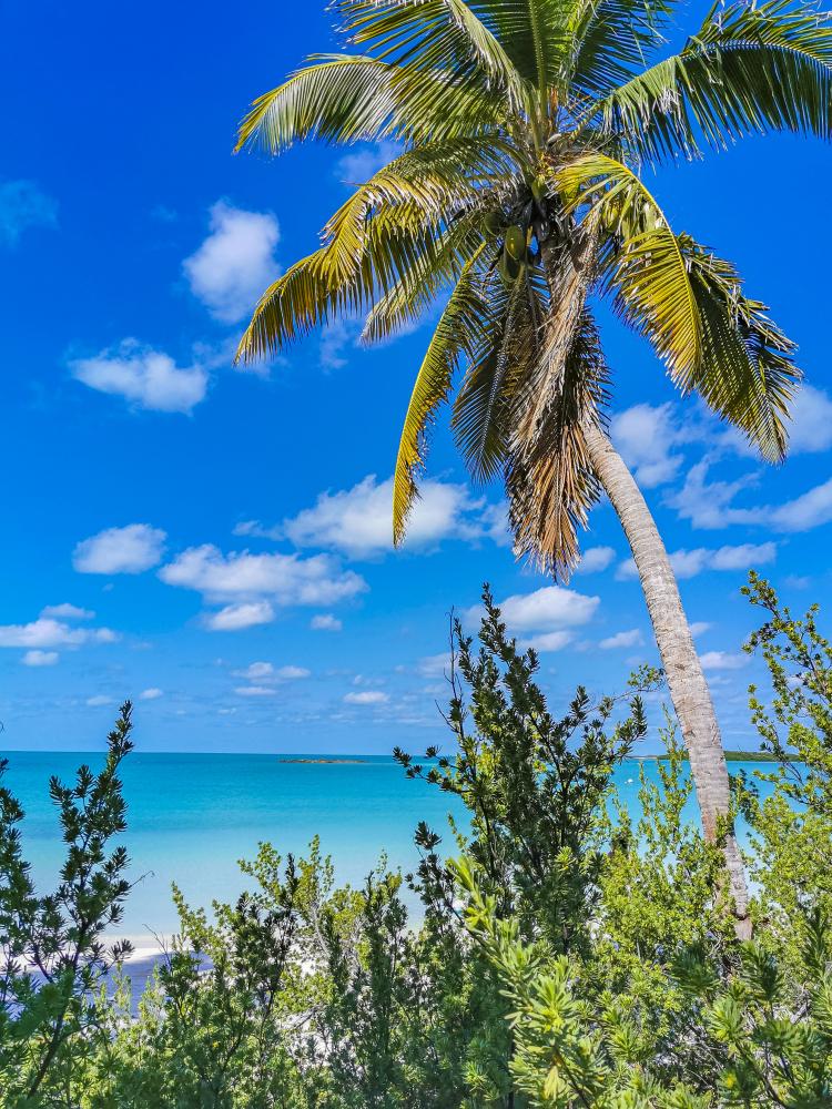 Scenic view of Isla Contoy enhancing the beauty of Big Pine Key