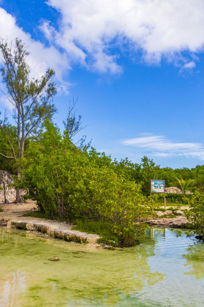 Relaxing canal front stay with lush surroundings in the Lower Keys