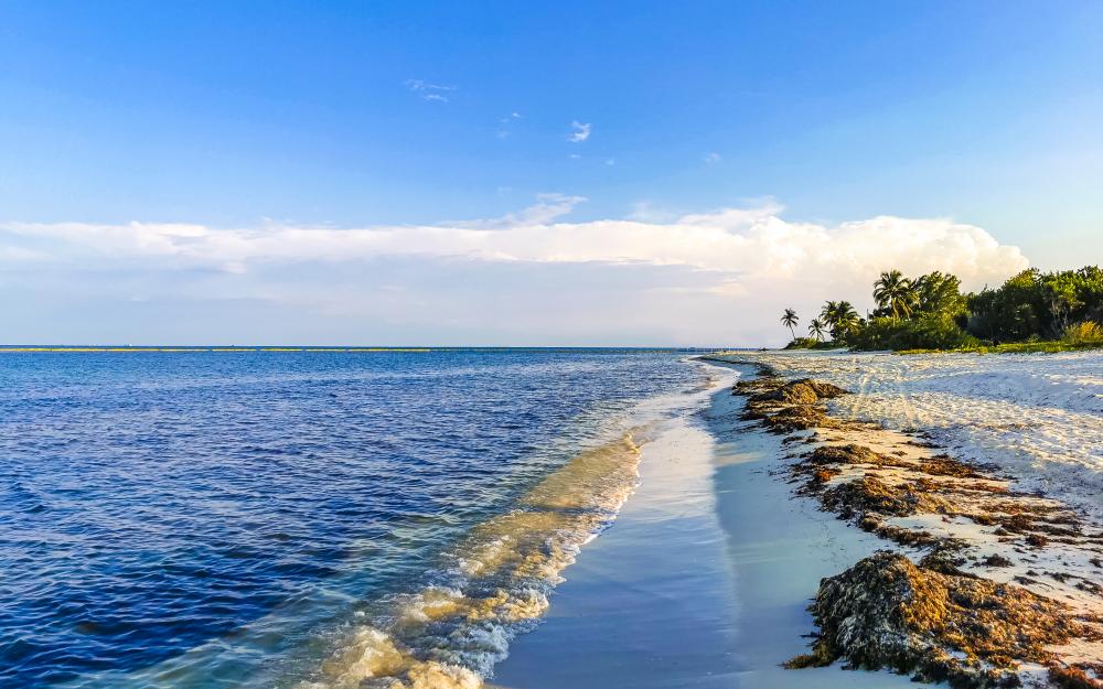 Scenic Playa del Carmen beachfront, enticing visitors to culinary adventures in Florida Keys