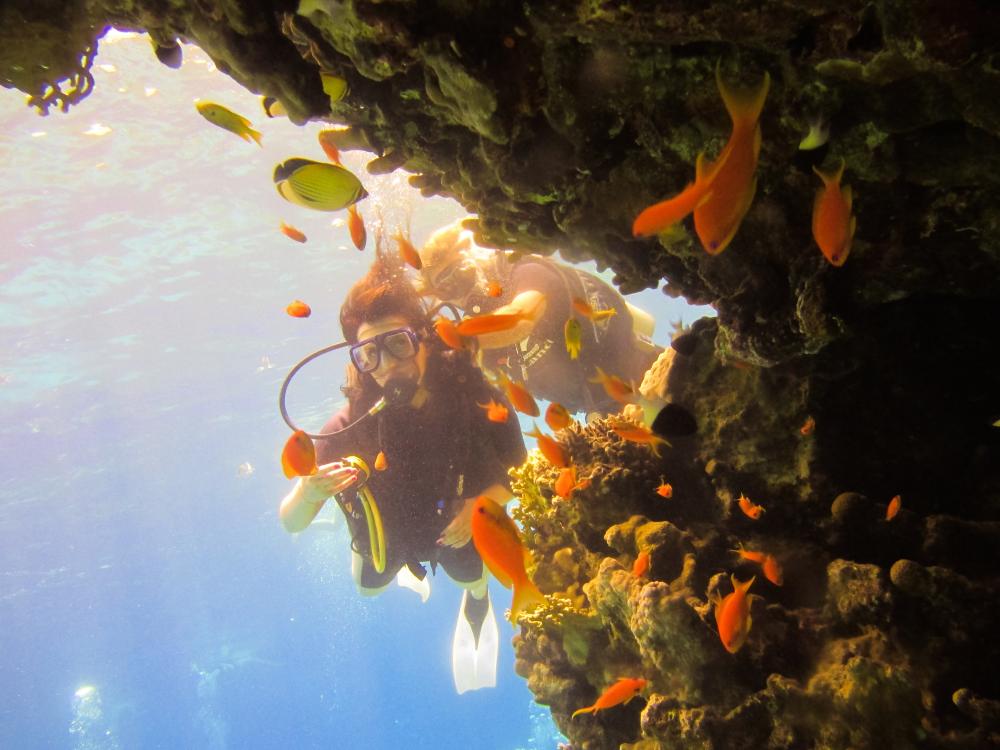 Scuba divers exploring marine life during a Florida Keys diving excursion