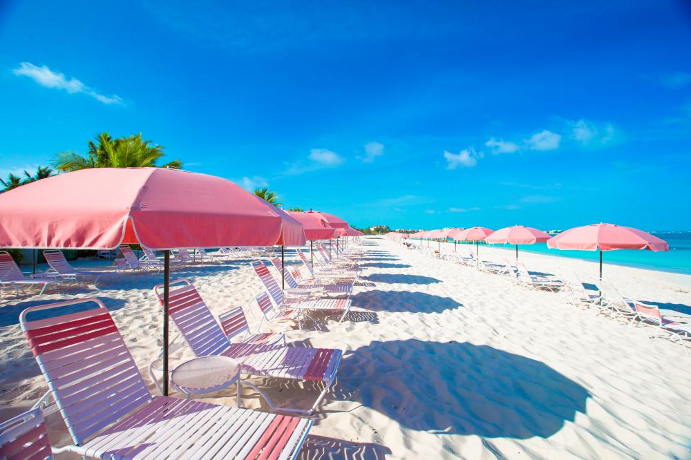 Inviting Waterfront Hammock at Luxury Florida Keys Airbnb