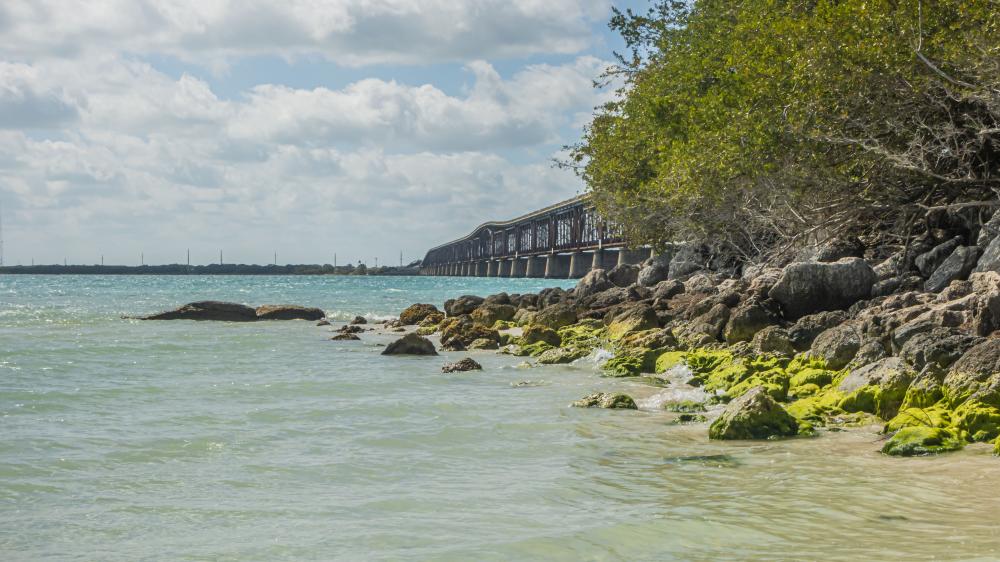 Unique cultural experiences alongside the Florida Keys' vibrant nature