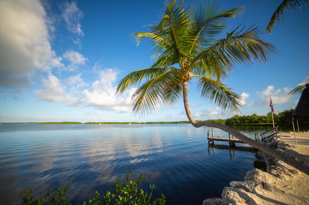 Serene Waterfront Deck Overlooking the Florida Keys Horizon