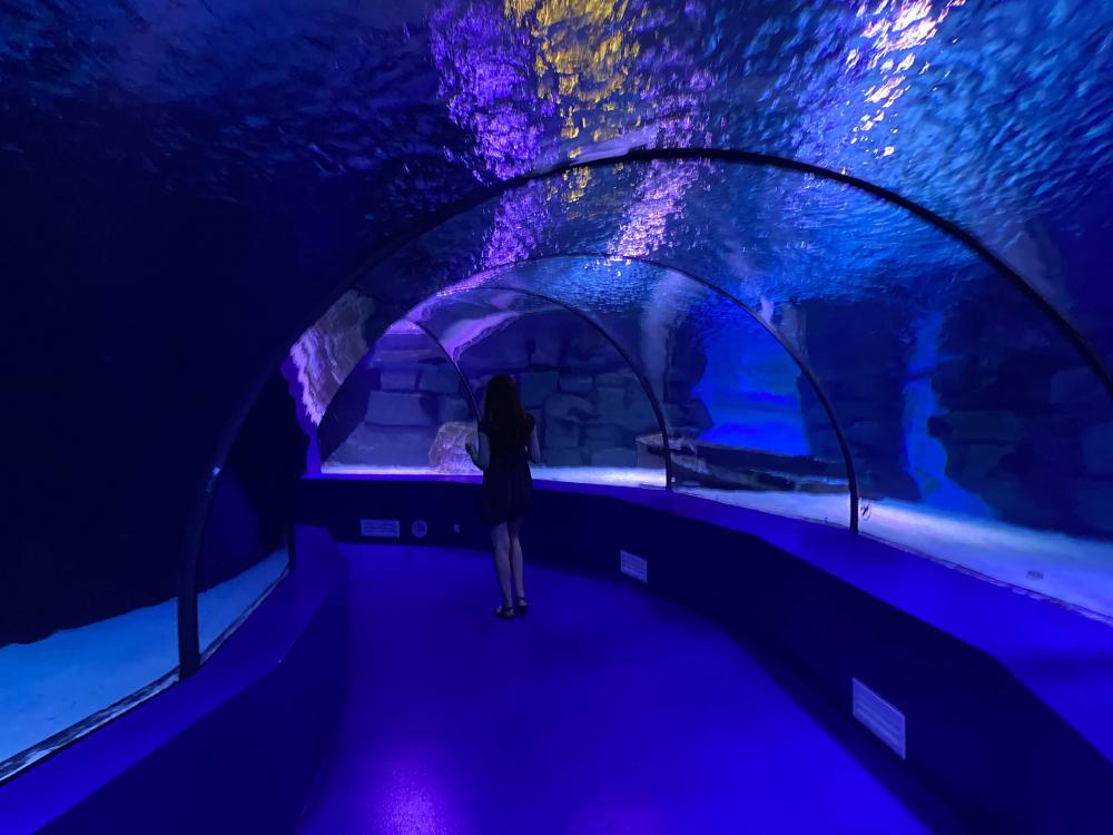 Luxurious underwater accommodation in Florida Keys
