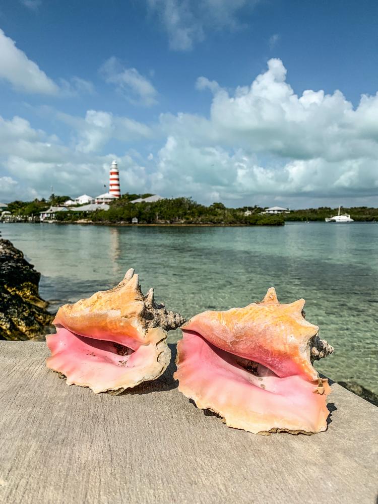 Hope Town Lighthouse with Conch Shells