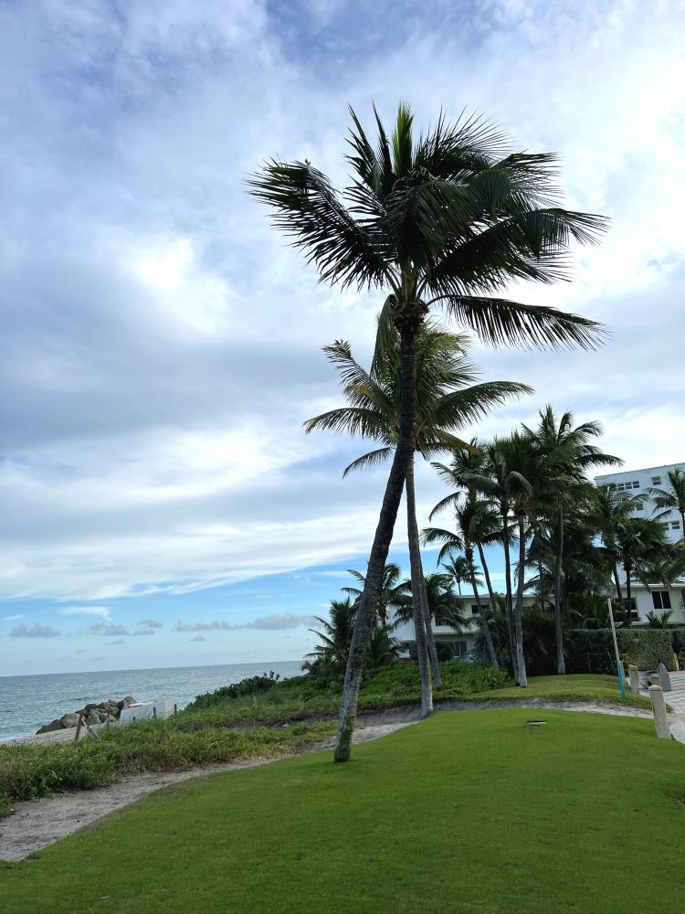 Sunset Ambience at Ground Level Florida Keys Rental