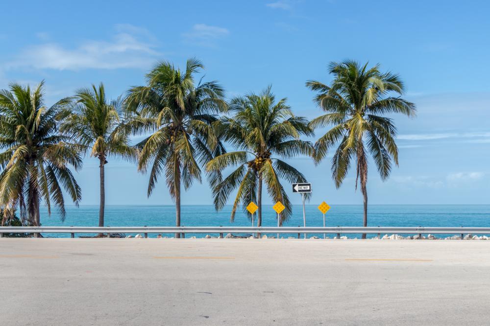 Scenic coastal road lined with palm trees in Key West