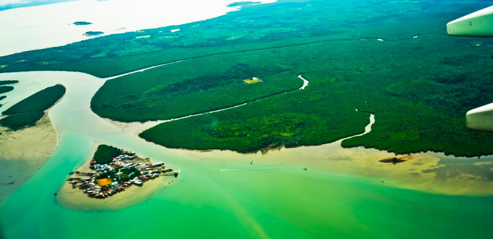 Aerial View of the Lush Florida Keys Eco-Tours