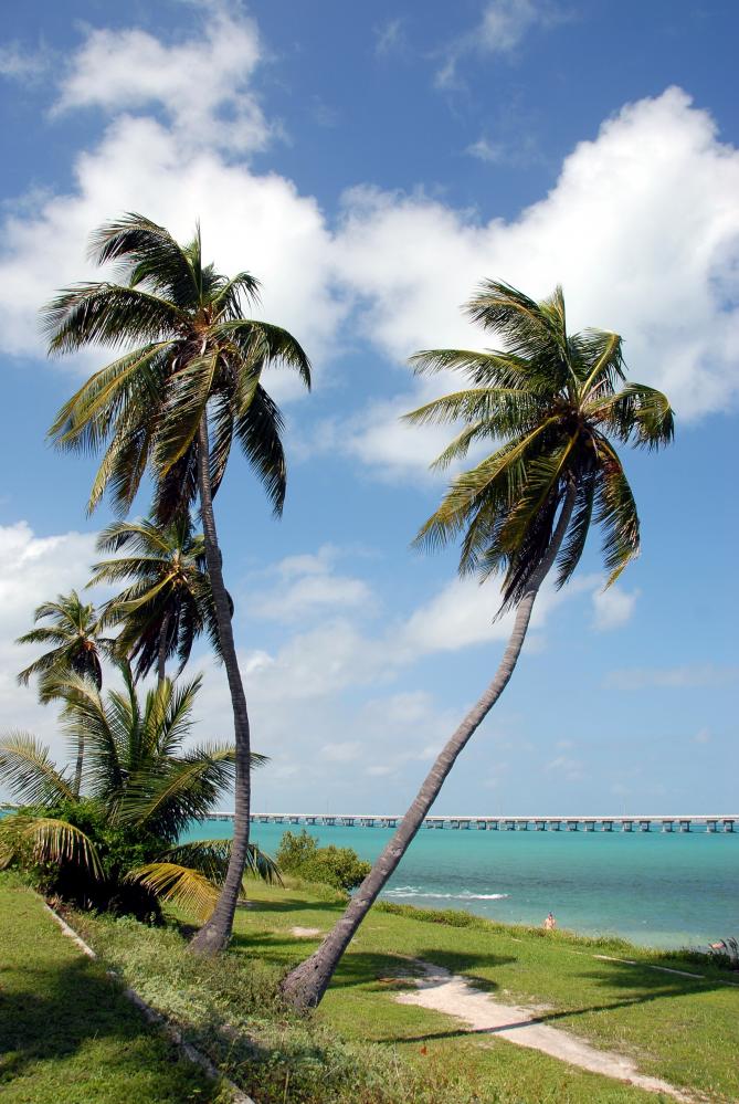 Bahia Honda State Park in Florida Keys with Seven Mile Bridge