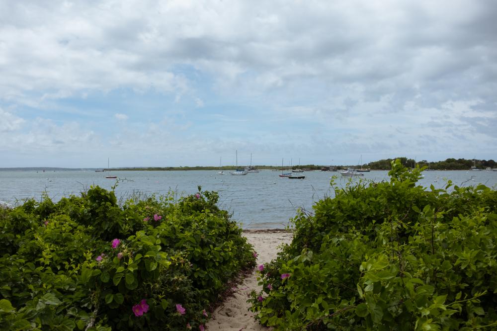 Sailboats gracing the tranquil shores of Little Torch Key