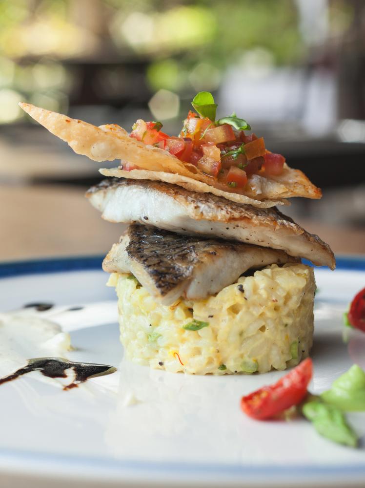 Gourmet seabass dish, a Florida Keys culinary delight