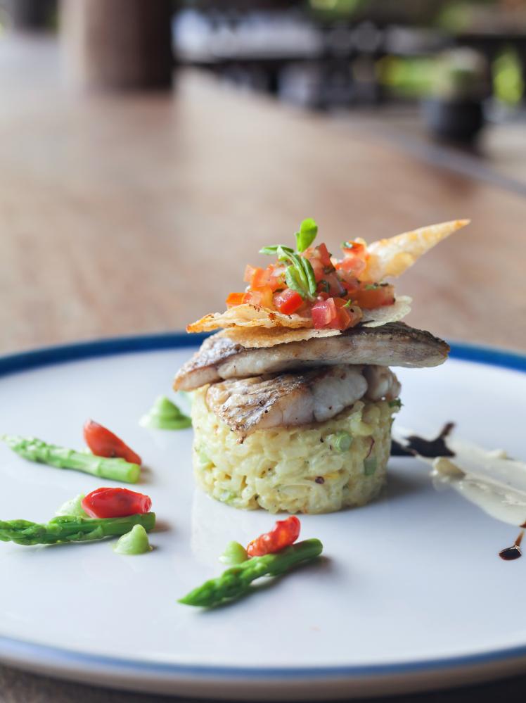 Elegant fillet of seabass dish, reflecting sustainable dining in Florida Keys