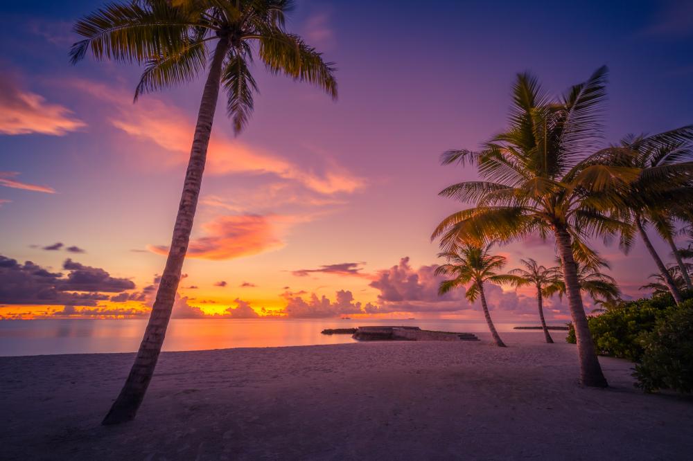Tranquil sunrise in the Florida Keys with beach and palm trees