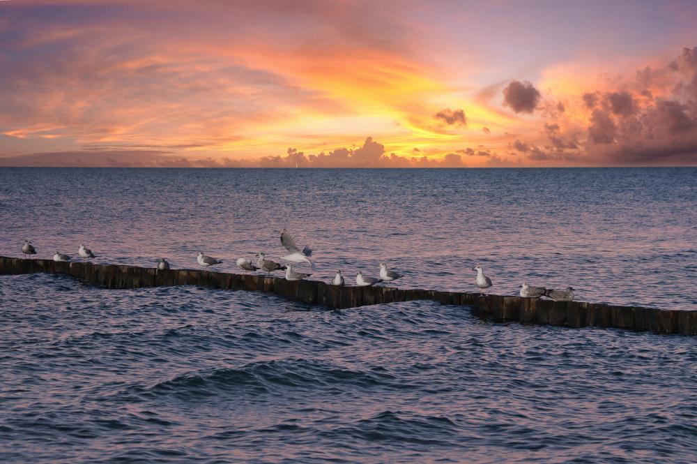 The Florida Keys at sunset, a serene eco-tour backdrop