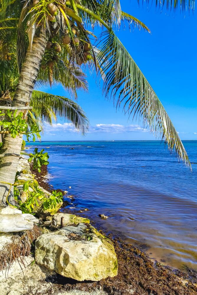 Artistic Getaway Homes nestled in the serene Florida Keys landscape