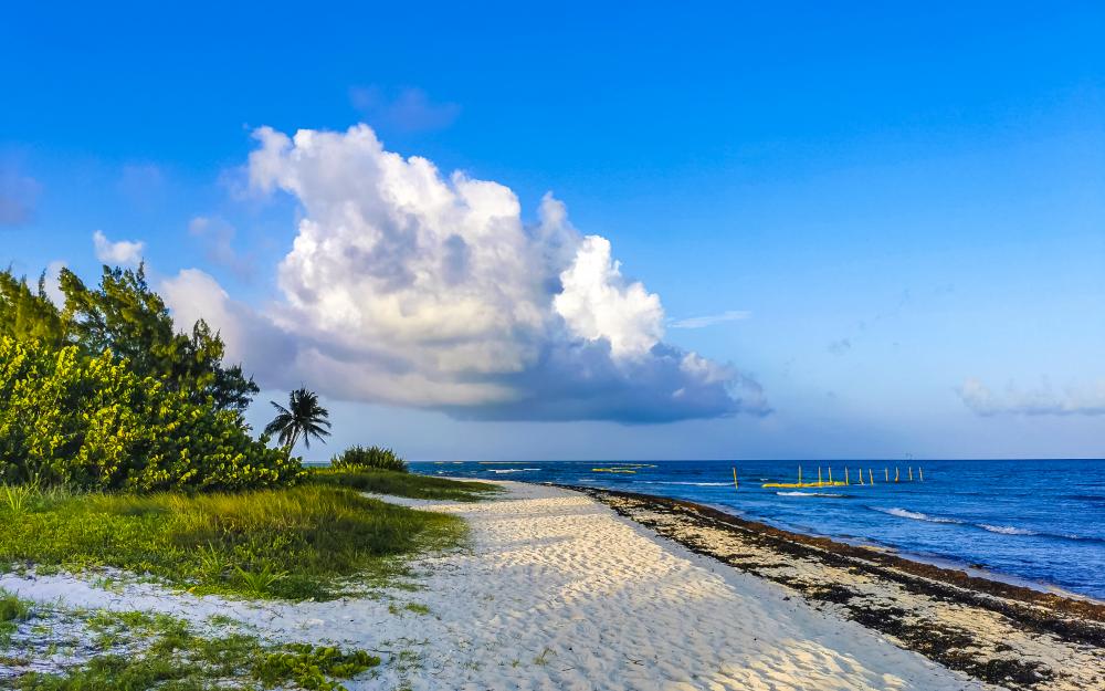 Invigorating Florida Keys watersports and leisure
