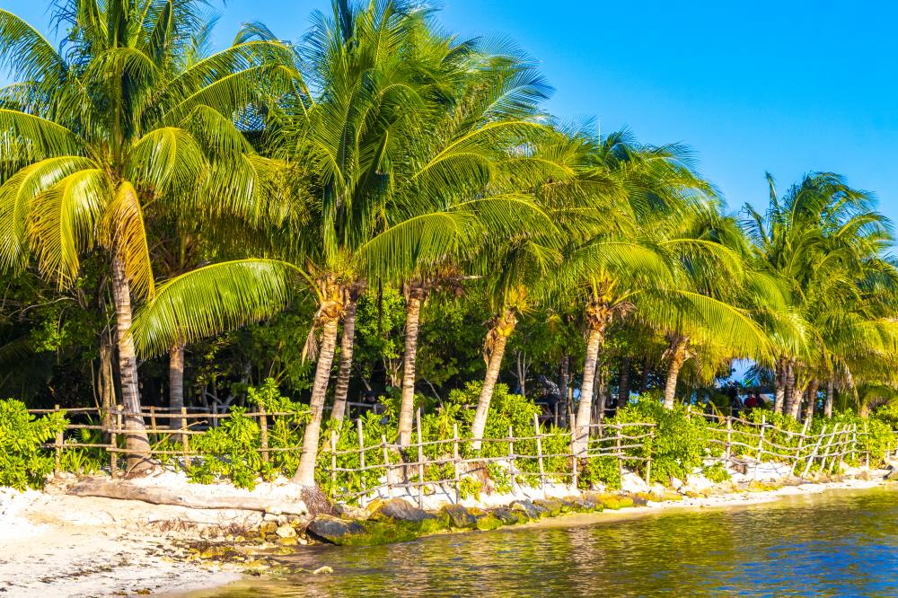 Tropical Caribbean beach in the Florida Keys