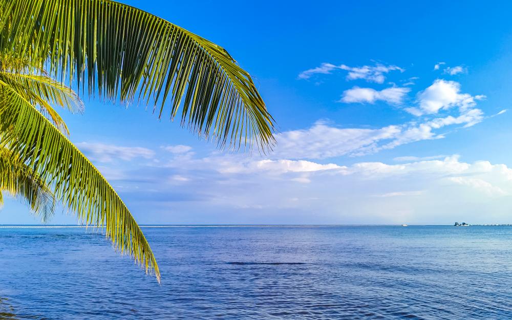 Secluded Caribbean beach in the Florida Keys
