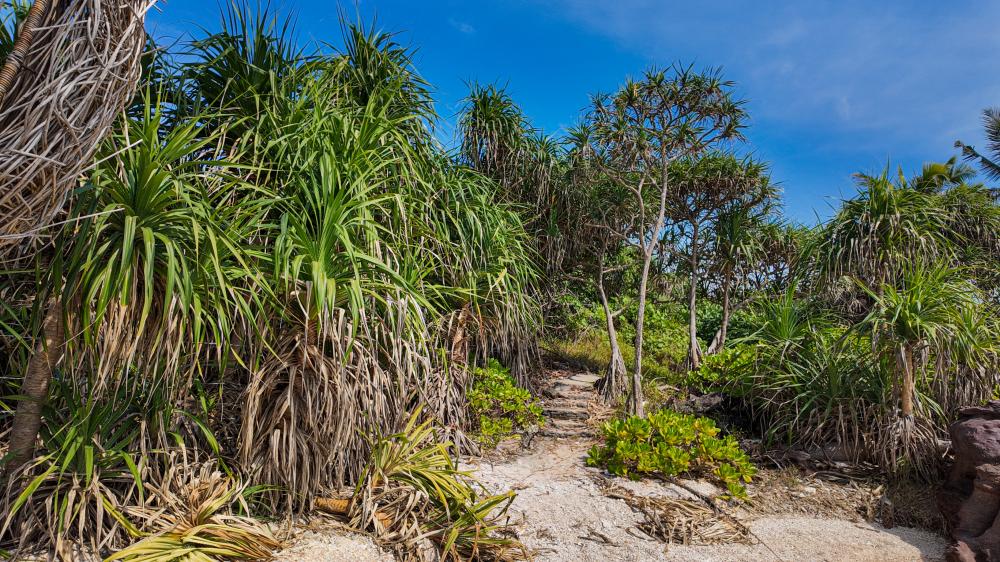 Idyllic Nature Trail near Cudjoe Key Beachfront Rentals