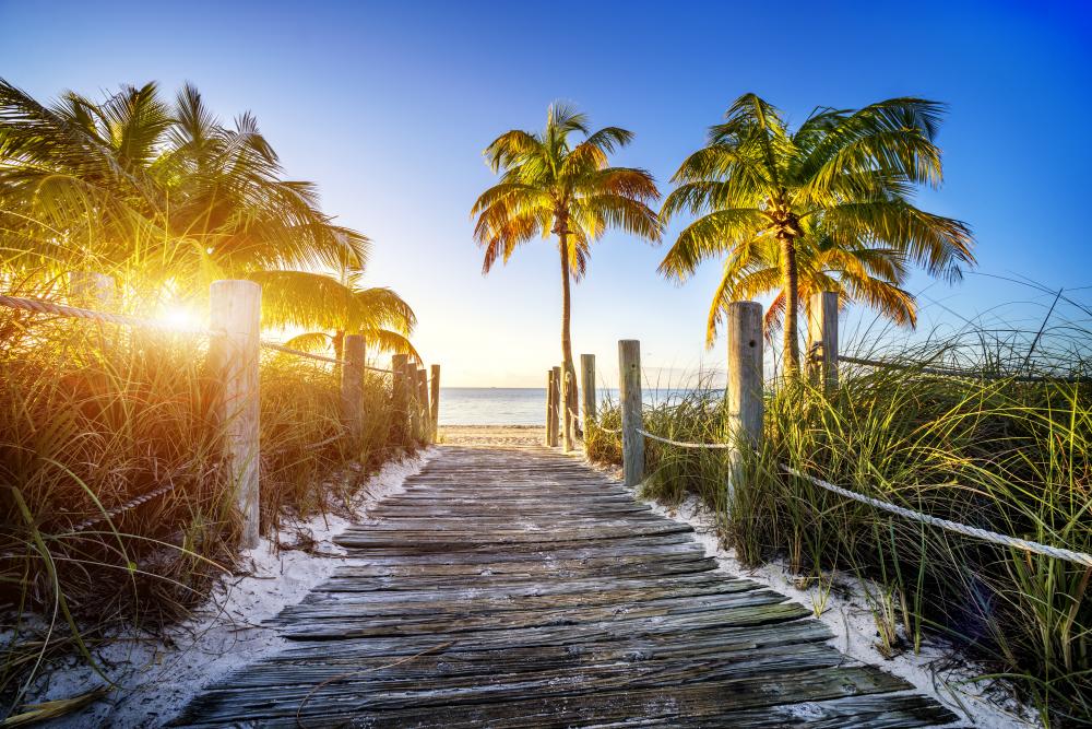 Pathway leading to a serene Key West beach