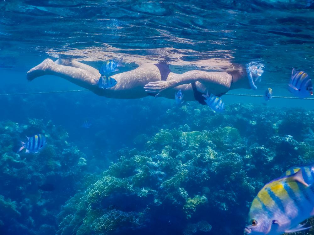 Woman snorkeling in the clear waters during a Florida Keys vacation